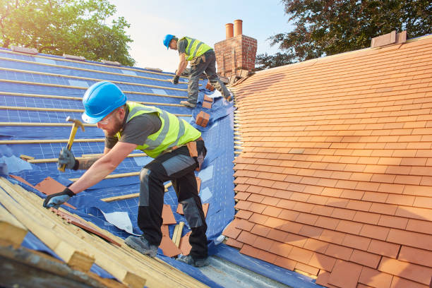 Best Roofing for New Construction  in Niagara, WI